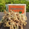Yilotuce 11 oz Sphagnum Moss for Plants, Carefully Selected Clean