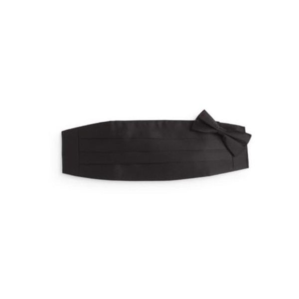 100% Silk Formal Bow Tie & Cummerbund Wedding Gift Set