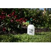 RL FLOMASTER Flo-Master by Hudson Half-Gallon Home and Garden Handheld