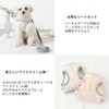 Monchéri Dog Harness, Cooling Ice Cream Pattern Harness + Lead