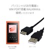 AudioFan Walkman Charging Cable with Data Transfer Support, Cable Length