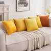 MIULEE Set of 2 Velvet Soft Solid Decorative Square Scatter