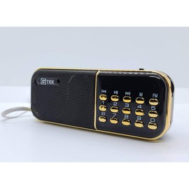 Gtek Hindu Religious Bhajans Radio Player (List Included in The Package) - Gold