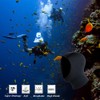 YDQUANI Wetsuit Hood 3 mm Neoprene Diving Hood Thermal Scuba