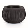 Prosperplast Plastic Bowl with Black Cement Paint Deposit, 13.6 (Large)