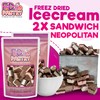 Freeze Dried Ice Cream Sandwich Bites - 2 Pack Neapolitan
