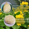 Natural Loofah Sponge Exfoliating Body Scrubber (3 Pack),Made with Eco-Friendly