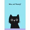 Pawsome notebooks set 2 Black cats - 09