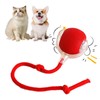 FIZITE Interactive Cat Toys for Indoor Cats, Automatic Cat/Kitten Toys