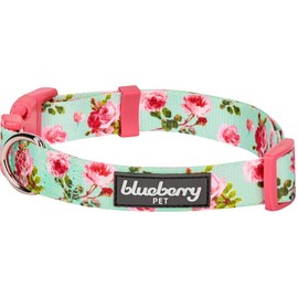 Blueberry Pet 7 Patterns Spring Scent Inspired Floral Rose Print Turquoise Adjustable Dog Collar, Medium, Neck 14.5"-20"