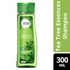 Herbal Essences Shampoo Drama Clean 300mL