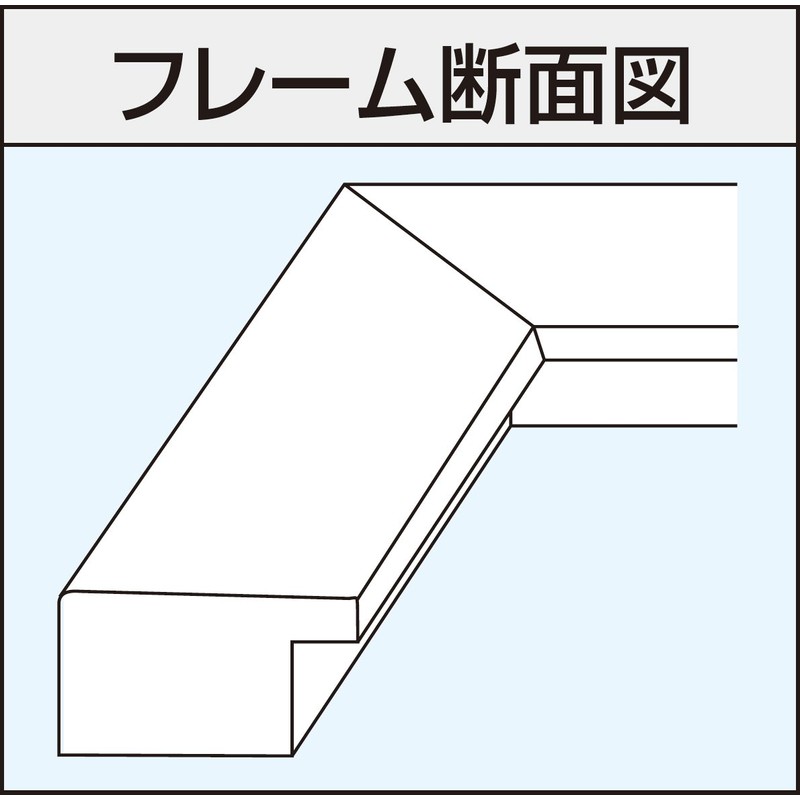 Nakabayashi DPW-A3-N Digital Print Frame
