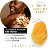 Bellanomi Esponja Exfoliante Africana Auténtica Origen Ético Nigeria 114 Largo