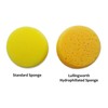 Premium Synthetic Art Crafts Sponges - 6pc Value Pack for