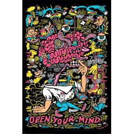 Killer Acid - Pop-Art Poster (Open Your Mind) (Size: 24" x 36")