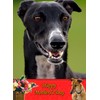 Greyhound Dog Mothers Day Card