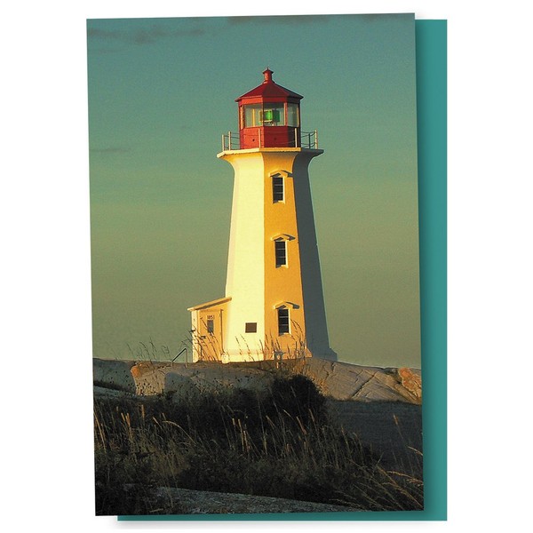 Tree-Free Greetings EcoNotes 12 Count Lighthouse Point All Occasion Notecard