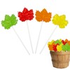 Maple Leaf Candy Lollipops - 24 Fall Suckers Individually Wrapped