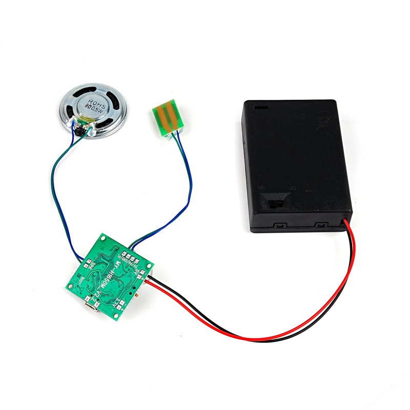 DIYmall Recordable Sound Module Voice Playback with Speaker, Supports USB