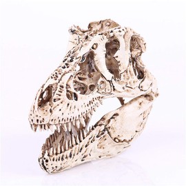VOANZO Resin Tyrannosaurus Rex Skull Model Replica, Dinosaur Tooth Skull Fossil, Photography Props Teaching Tool Home Ornament
