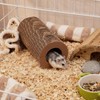 Dansydaisy 2 Pack Hamster Tunnel Tube Toy - 7.5" Natural
