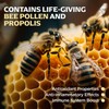 Jamie's Hive To Table 100% Raw Honeycomb, 12 Oz –