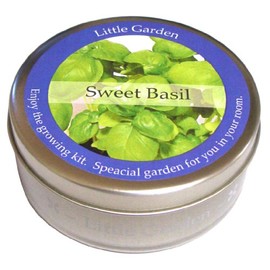 Nagakura New Little Garden Basil LG-43