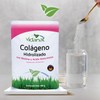 Vidanat Colágeno Hidrolizado Puro Con Biotina Y Ácido Hialurónico -