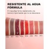 Erinde Lápiz Labial Mate, Delineador Labial Cremoso de Larga Duración,