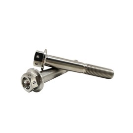 RISON Titanium Bolt M6 x 1.0 x 40 mm Titanium Flange Screws TC4 Titanium Screws Hex Screw Titanium Alloy Colour GR5 Titanium Bolts Pack of 5