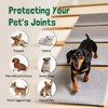 Dog Ramp for Stairs with Non-Slip Bump for Small &
