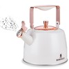 BERTILLE Teapot 2.5QT Whistle Exquisite Teapot for Stovetop, 18/8 Stainless