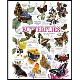 Ankicoleman Designs Butterfly Collection - DIY Chart Counted Cross Stitch Patterns Needlework DMC   - Printed