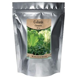 Freedom Farms Bulk Seeds - Mylar Bag - Non-GMO - Heirloom - Packed in America - Current Year (Collards, 1, Ounce)