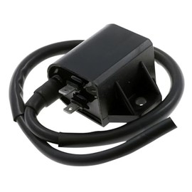 2EXTREME 12 V Ignition Coil for Benelli Pepe 50, Derbi Vamos, Italjet Formula 50 AC/LC