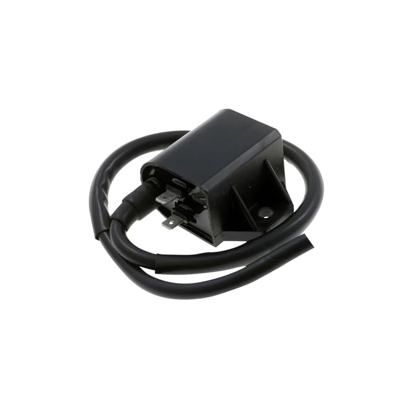 2EXTREME 12 V Ignition Coil for Benelli Pepe 50, Derbi