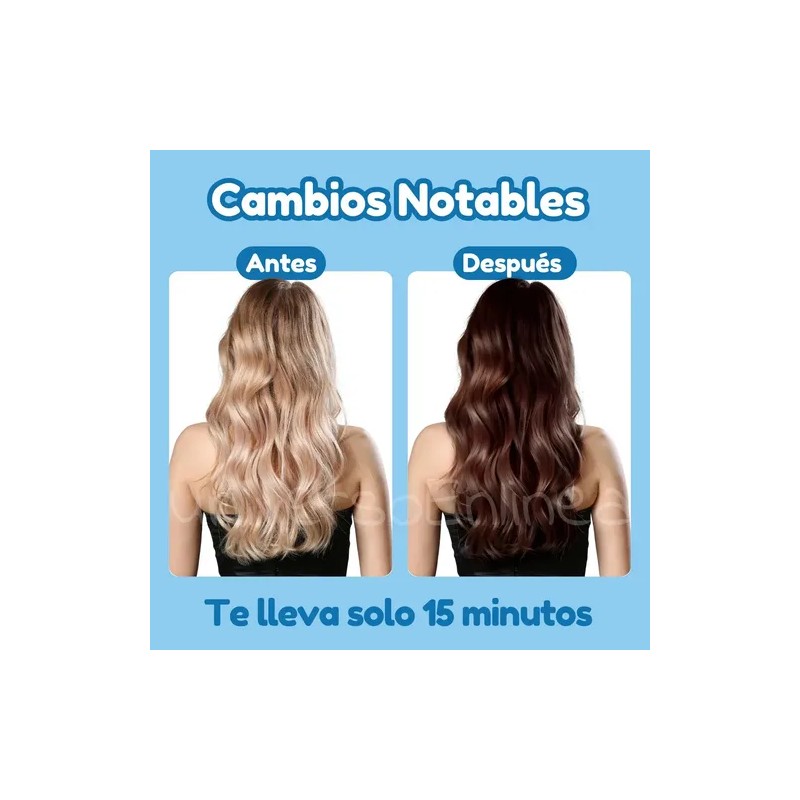 Shampoo Tinte Instantáneo 15min Cubre Canas Jengibre 12pz F