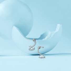 Snake Stud Earrings For Women, 925 Sterling Silver Hypoallergenic for Sensitive Ears Animal Serpent Auricle Wrap Goth Dangle Earring Jewelry for Friend (Brown Eye Snake Earring)