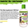 Liquid-Vet K9 Hip & Joint Advanced Formula, Bacon Flavor, 8
