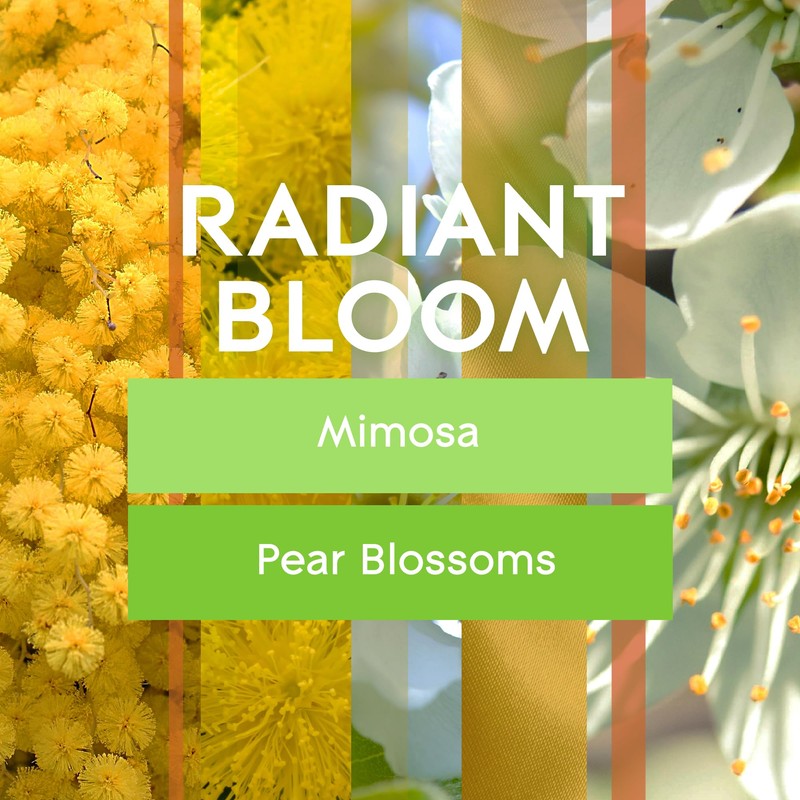 Glade Automatic Spray Refill, Radiant Bloom, Scented Air Freshener for