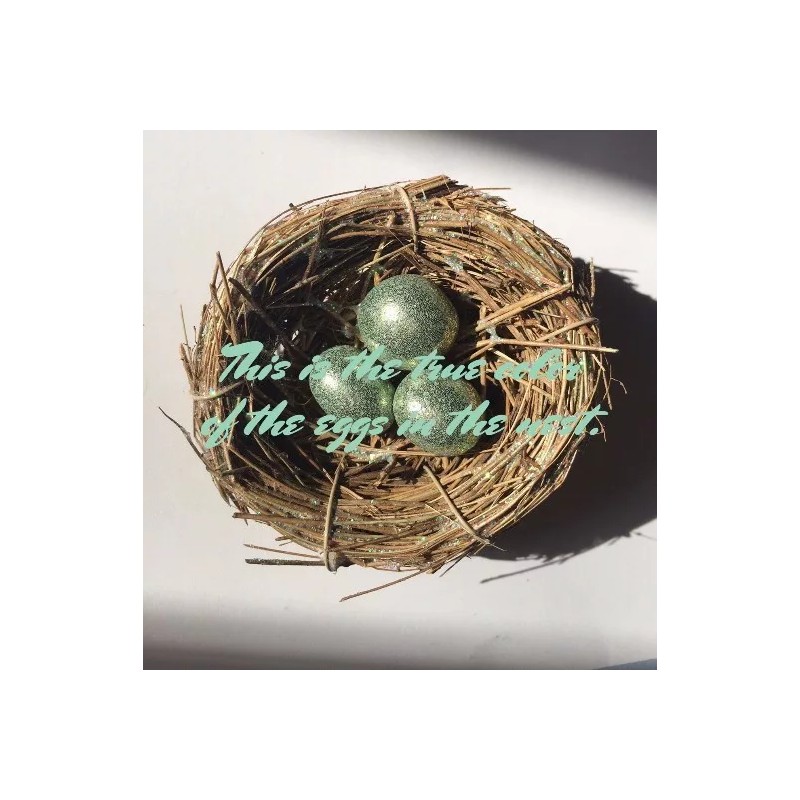 Nest Icelandic Folklore birds nest ornament w/Sage eggs Christmas Ornament