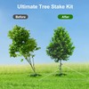 LATERN 8Pcs Tree Stake Kit, 3Pcs 30CM Heavy Duty Tree