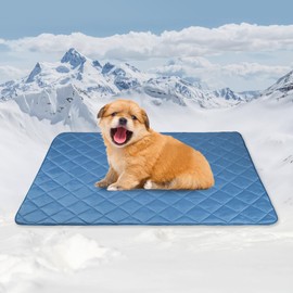 Tuiskusa Premium Cooling Blanket for Dogs Pet Cooling Pads Washable Pet Cool Mat for Cats Hot Weather Puppy Lightweight Throw Calming Pad(22x28 inches)