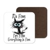 Coaster Cat Its Fine I'm Fine Everything is fine joke