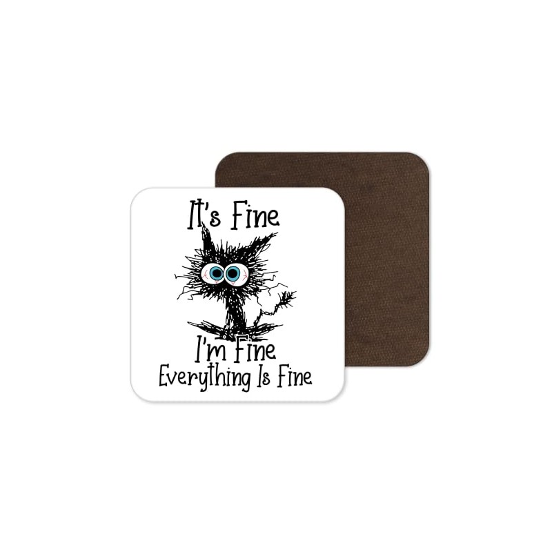Coaster Cat Its Fine I'm Fine Everything is fine joke