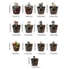 QUINTRA Creative Succulent Flower Pots House Design Succulent Container Succulent
