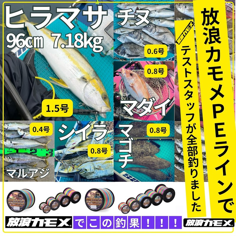 Wandering Seagull PE Line Fishing Line #4 1000M 5 Colors