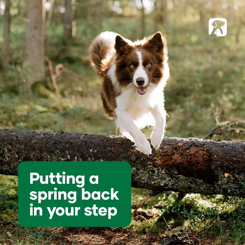 Natural Animal Solutions Joint & Ligament Support - Hip and
