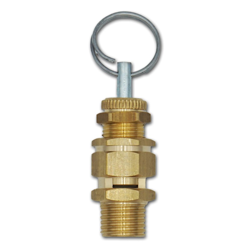 Adjustable Safety Valve 1/4 Inch 3-7 Bar (Not Component Tested)