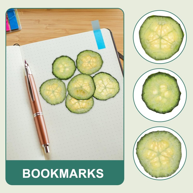 TEHAUX 12pcs Dried Pressed Cucumber Slices for DIY Decor Craft